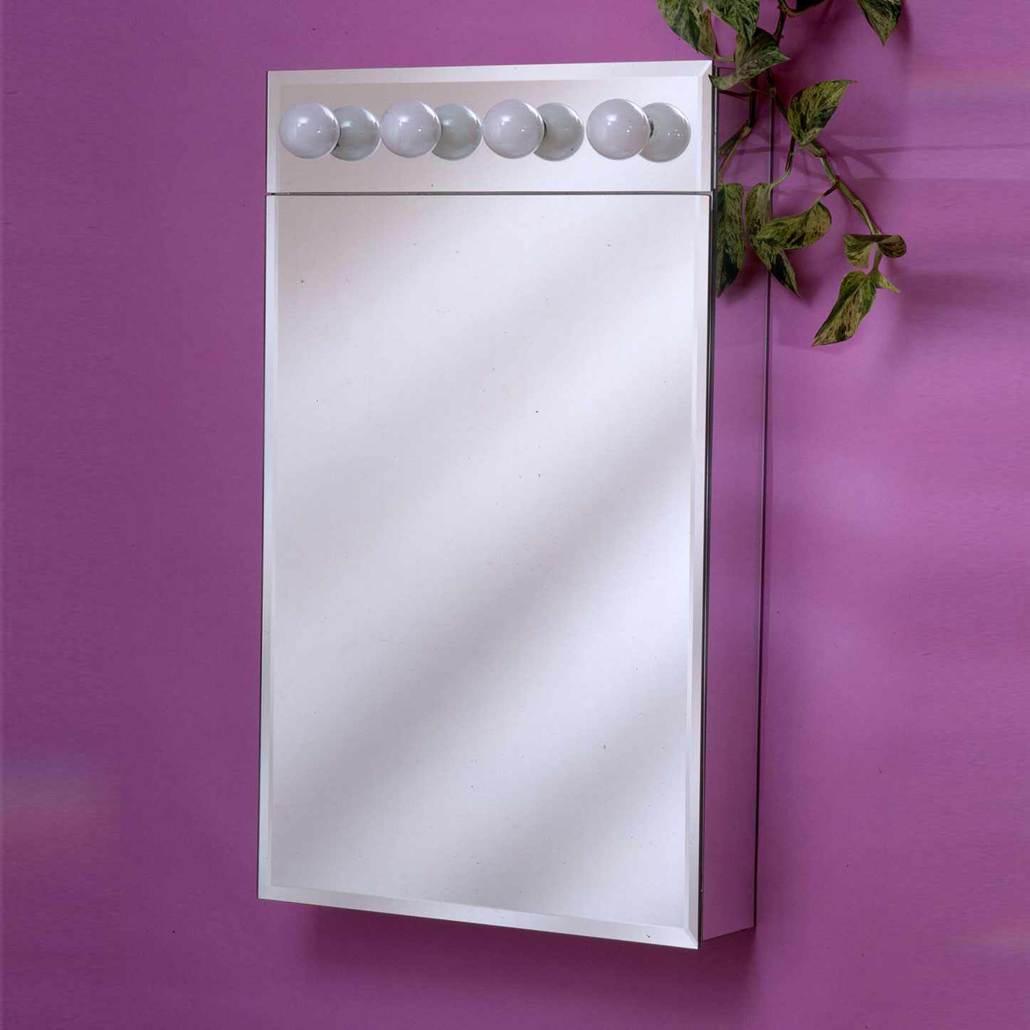 Single Door Slim Line 3 ½" Deep Surface Mounted Basco